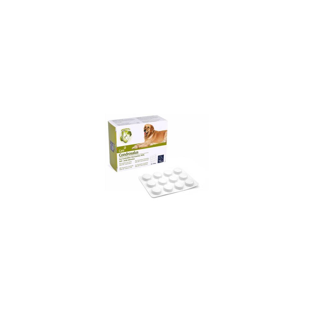 hybrid.jpg_product_product_product_product