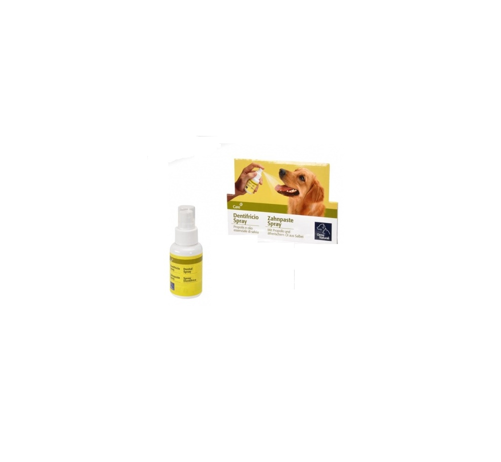 hybrid.jpg_product_product_product_product_product_product