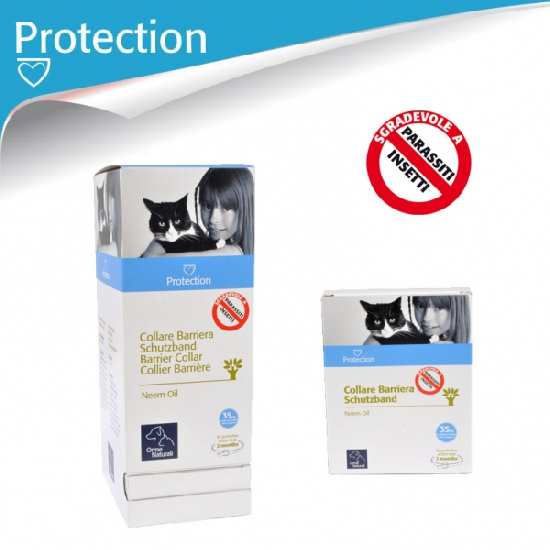 hybrid.jpg_product_product_product_product_product_product_product_product_product_product_product_product