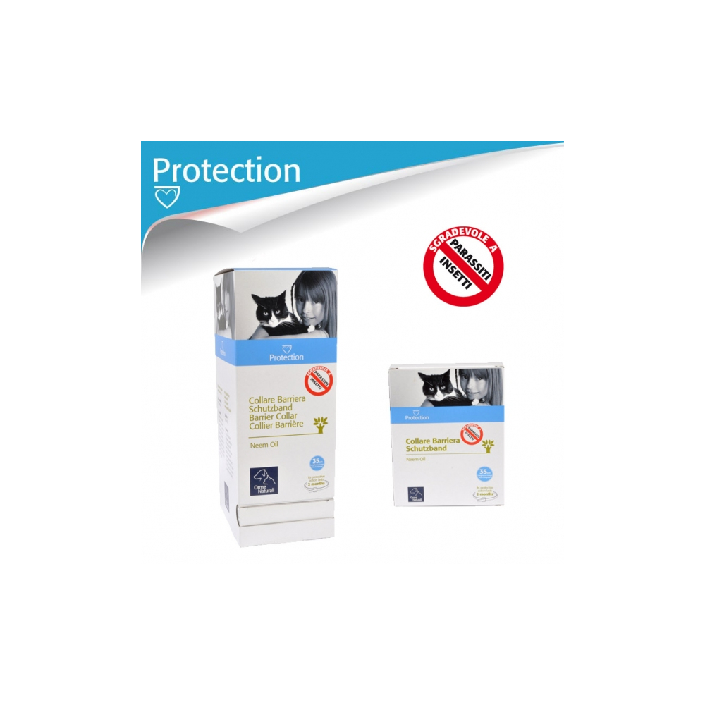hybrid.jpg_product_product_product_product_product_product_product_product_product_product_product_product