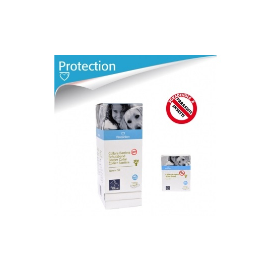 hybrid.jpg_product_product_product_product_product_product_product_product_product_product_product_product_product_product