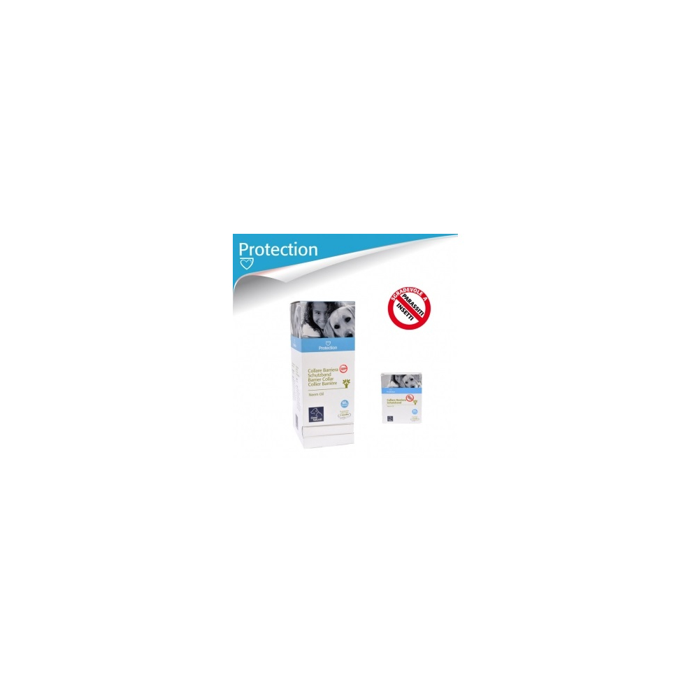 hybrid.jpg_product_product_product_product_product_product_product_product_product_product_product_product_product_product