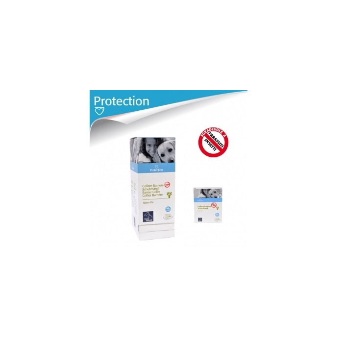 hybrid.jpg_product_product_product_product_product_product_product_product_product_product_product_product_product_product