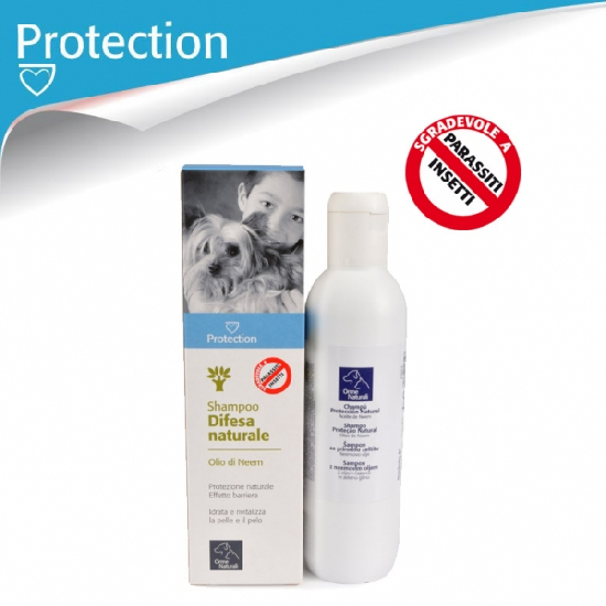 proteccion.jpg_34