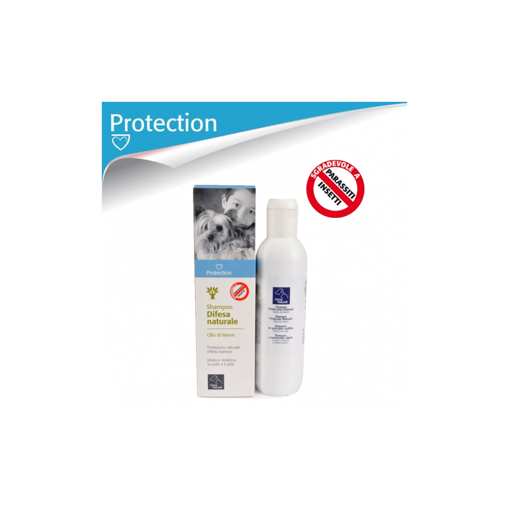 proteccion.jpg_34