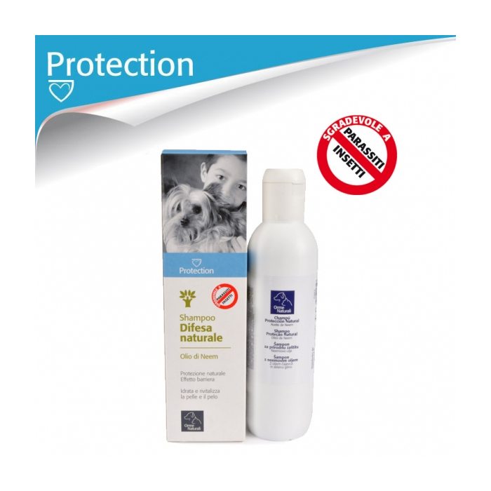 proteccion.jpg_34