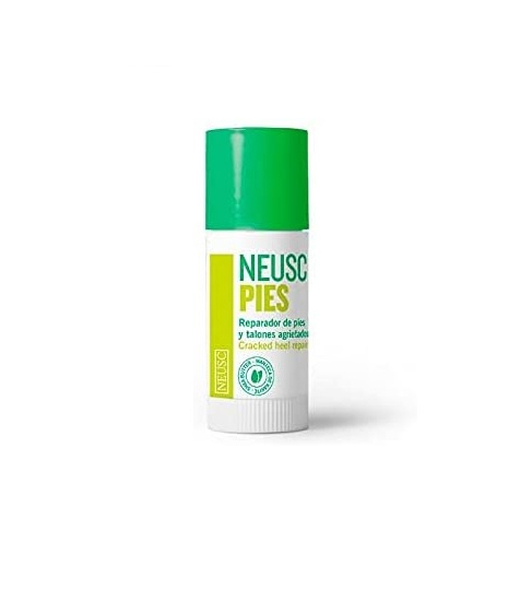 NEUSC-PIES.jpg_1