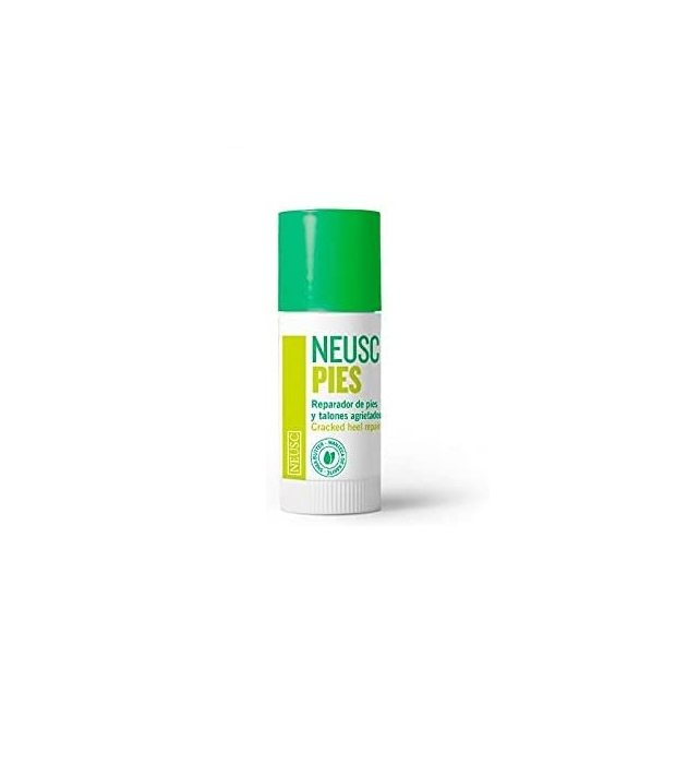NEUSC-PIES.jpg_1
