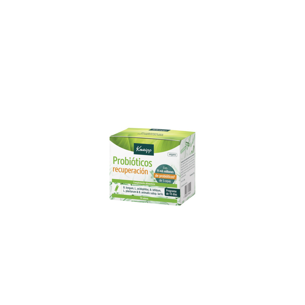 KNEIPP PROBIOTICOS RECUPERACION 10 SOBRES CN 225384 | PcFarmacia