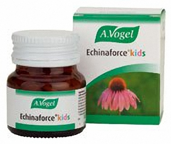 vogel-equinacea.jpg_product_product_product_product_product_product_product_product