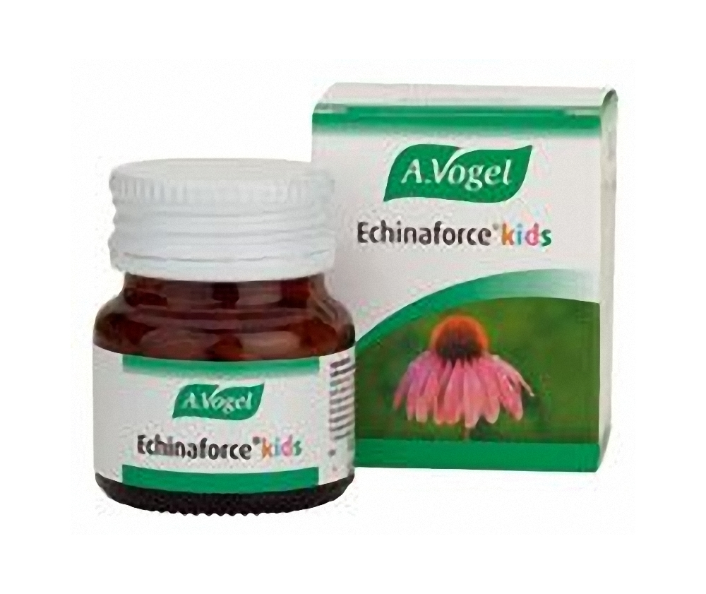 vogel-equinacea.jpg_product_product_product_product_product_product_product_product