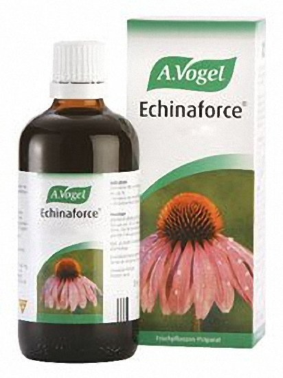 vogel-equinacea.jpg_product_product_product_product_product_product_product_product_product_product