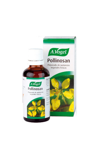 vogel-equinacea.jpg_product_product_product_product