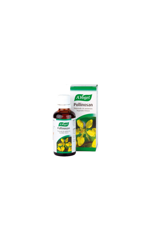 vogel-equinacea.jpg_product_product_product_product