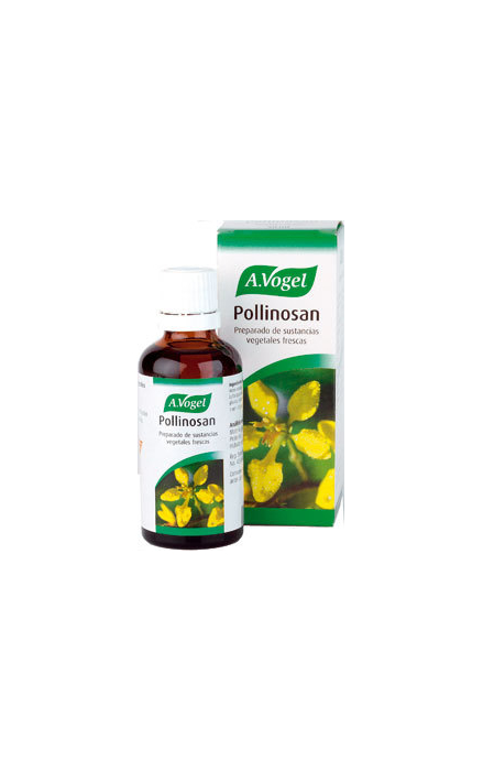 vogel-equinacea.jpg_product_product_product_product