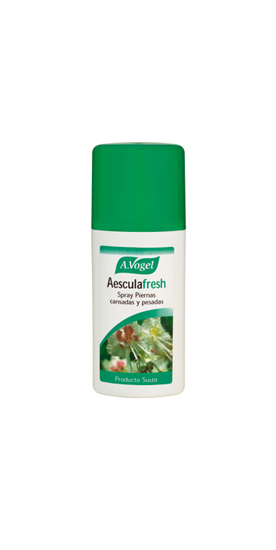 vogel-equinacea.jpg_product_product_product_product_product_product_product_product