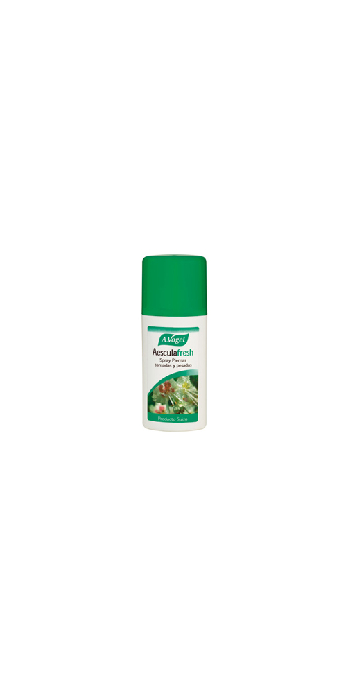 vogel-equinacea.jpg_product_product_product_product_product_product_product_product